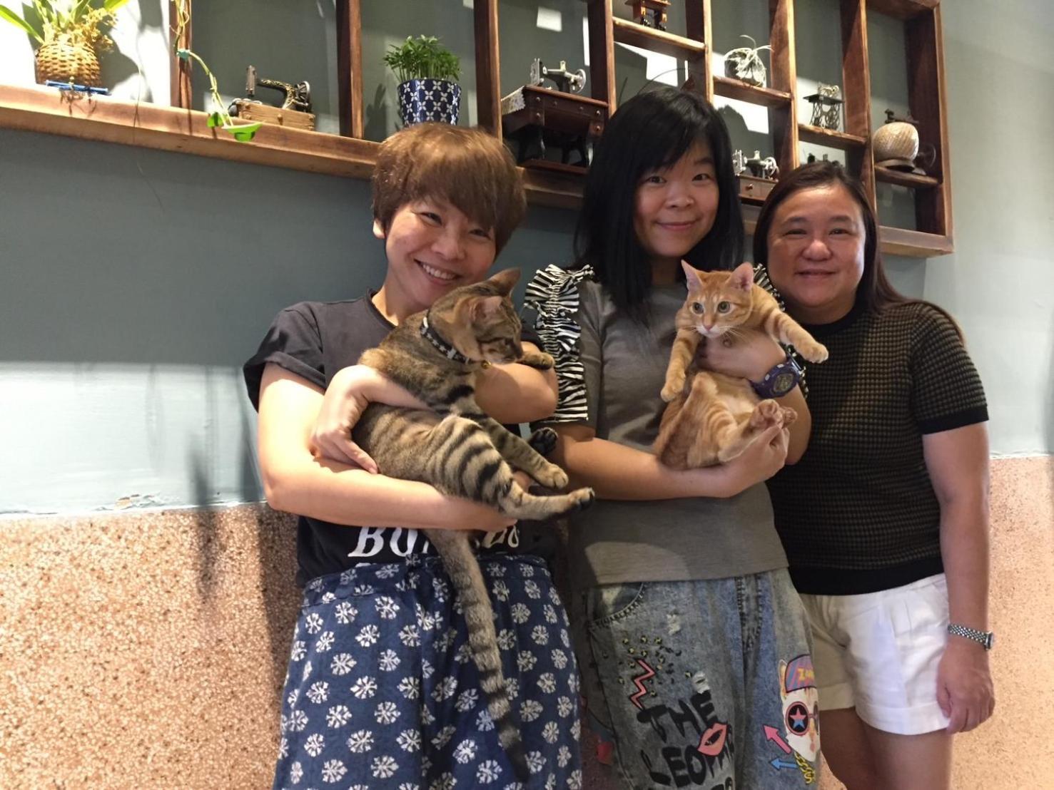 Local Backpacker Hostel Tainan Esterno foto